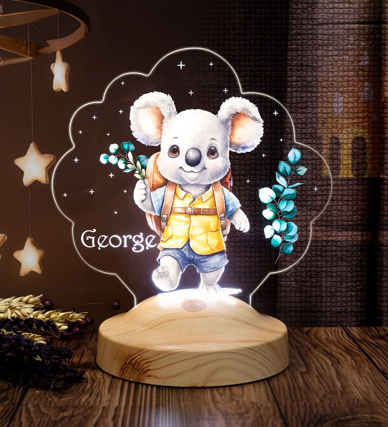 Koala Dragut pentru Copii (5)